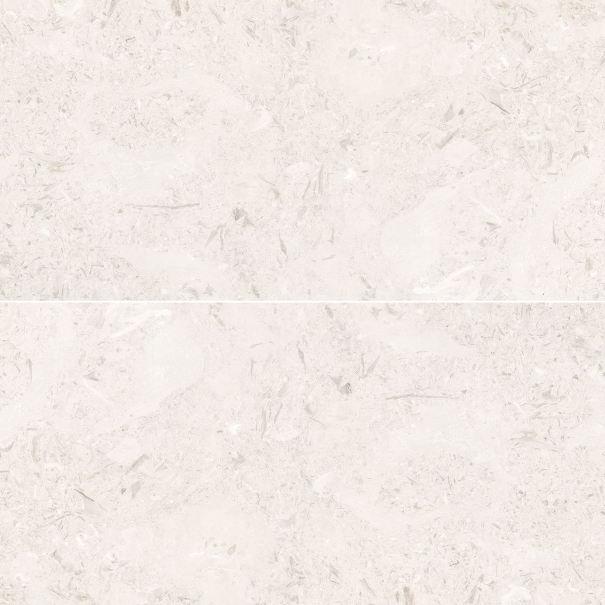 Corinne Shell - 24"x48" - Beige - Polished