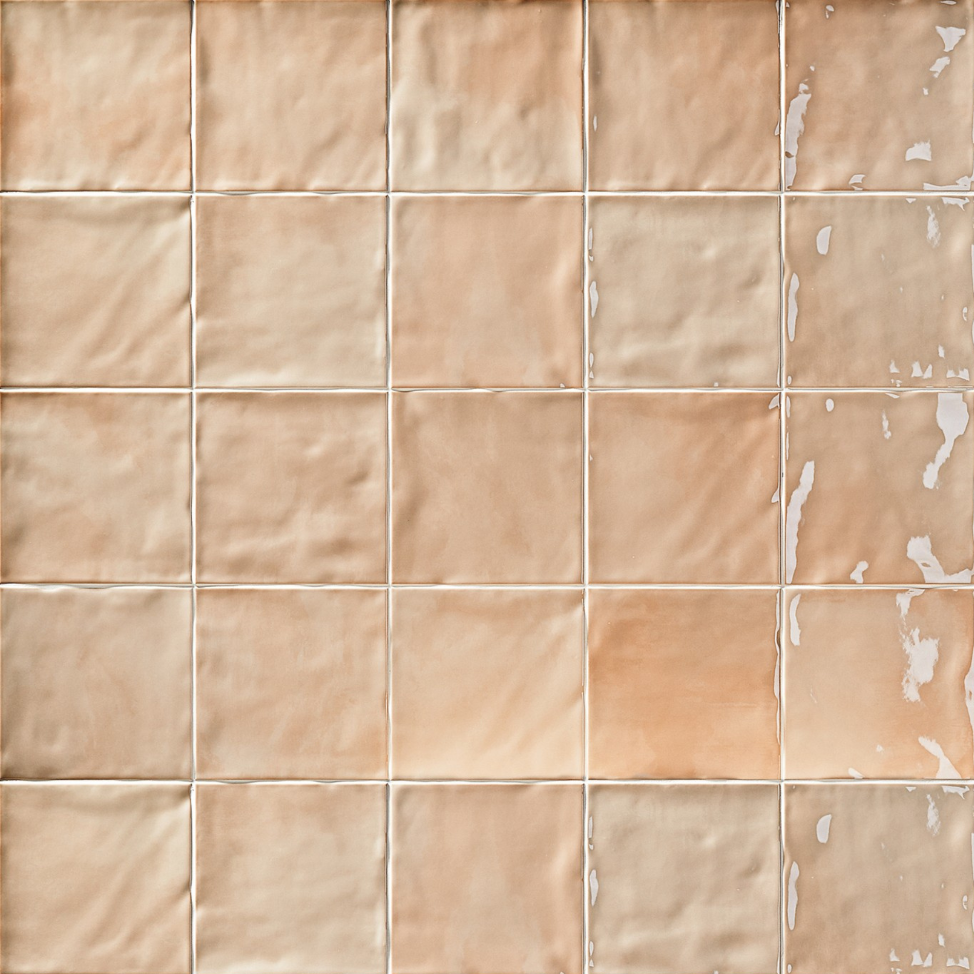 Goldine - 6"x6" - Graine - Matte