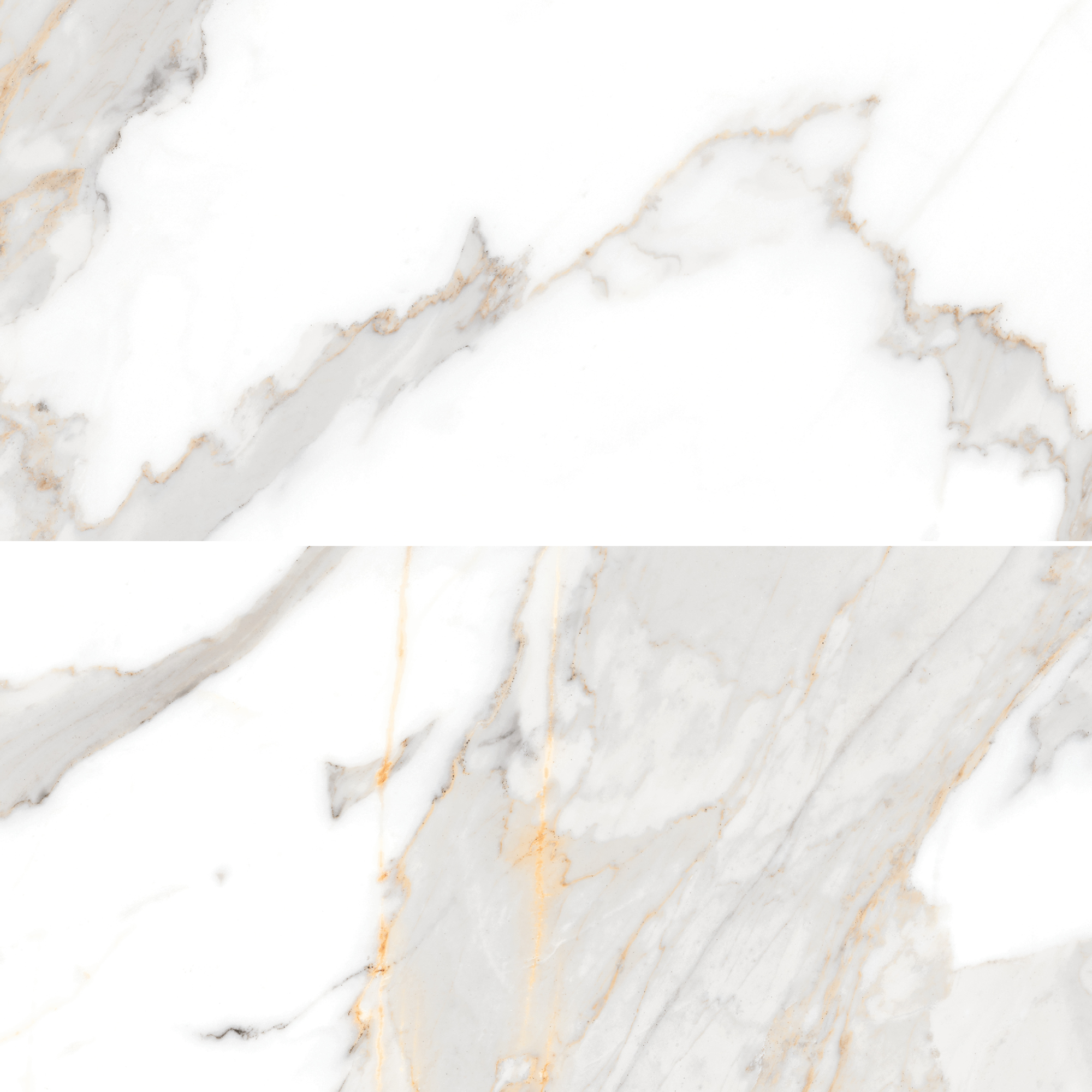 Livy - 24"x48" - Matte